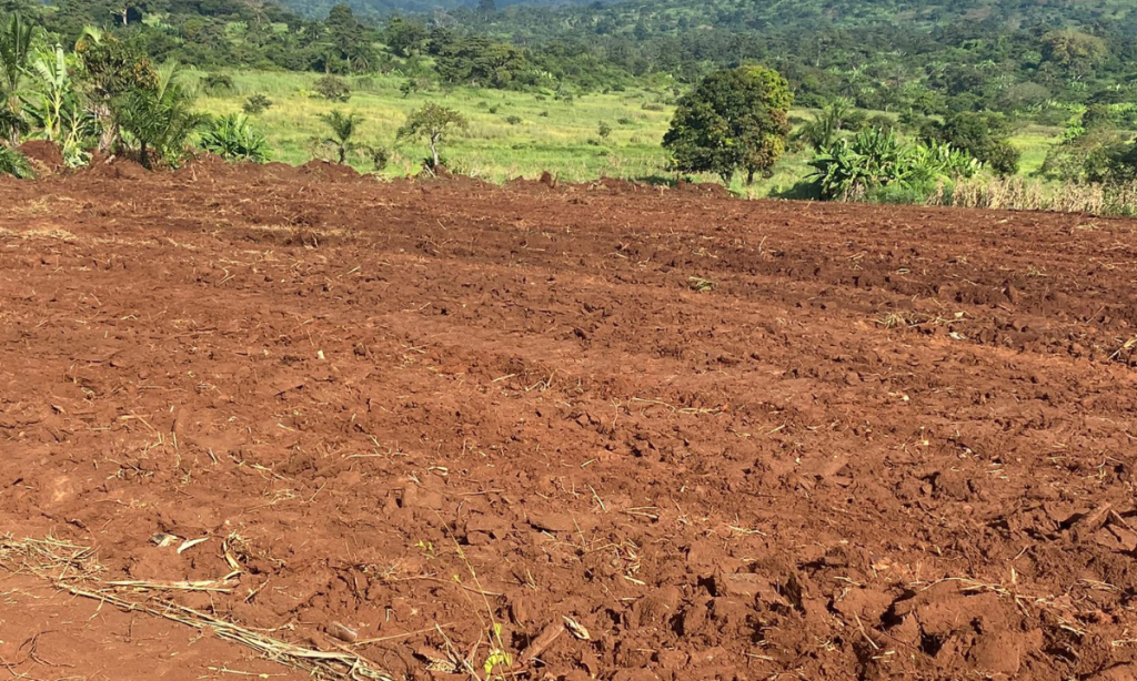 Cinco Passos para uma Agricultura Sustentável e Produtiva