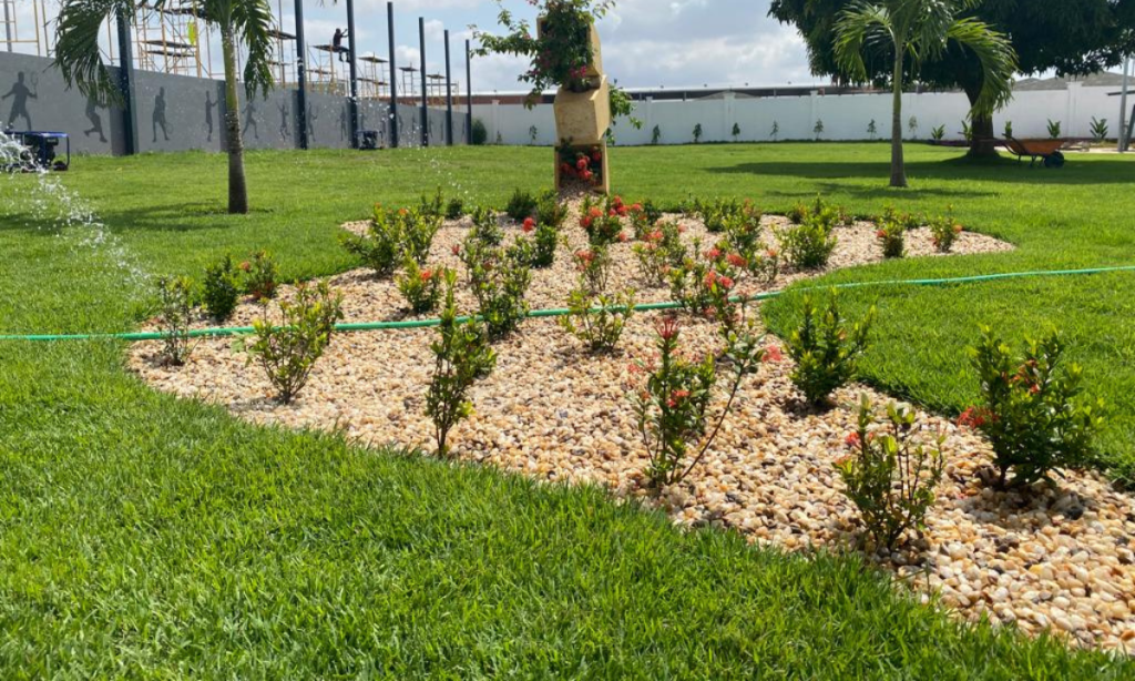 5 Dicas para Manter seu Jardim Saudável e Vibrante